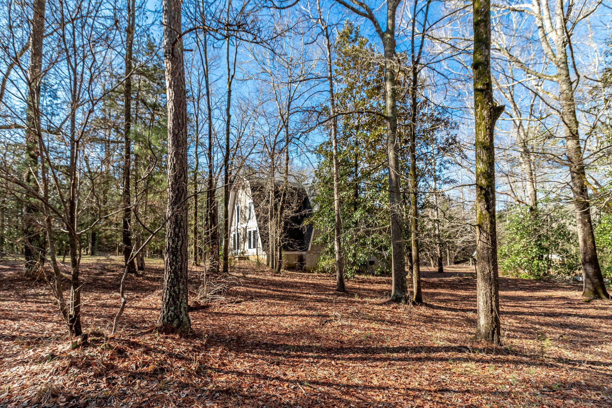 2865 Old Thomson Road Appling, GA 30802 - Photo 40 of 46 46-web-or-mls-2865 OLD THOMSON RD ©-7988