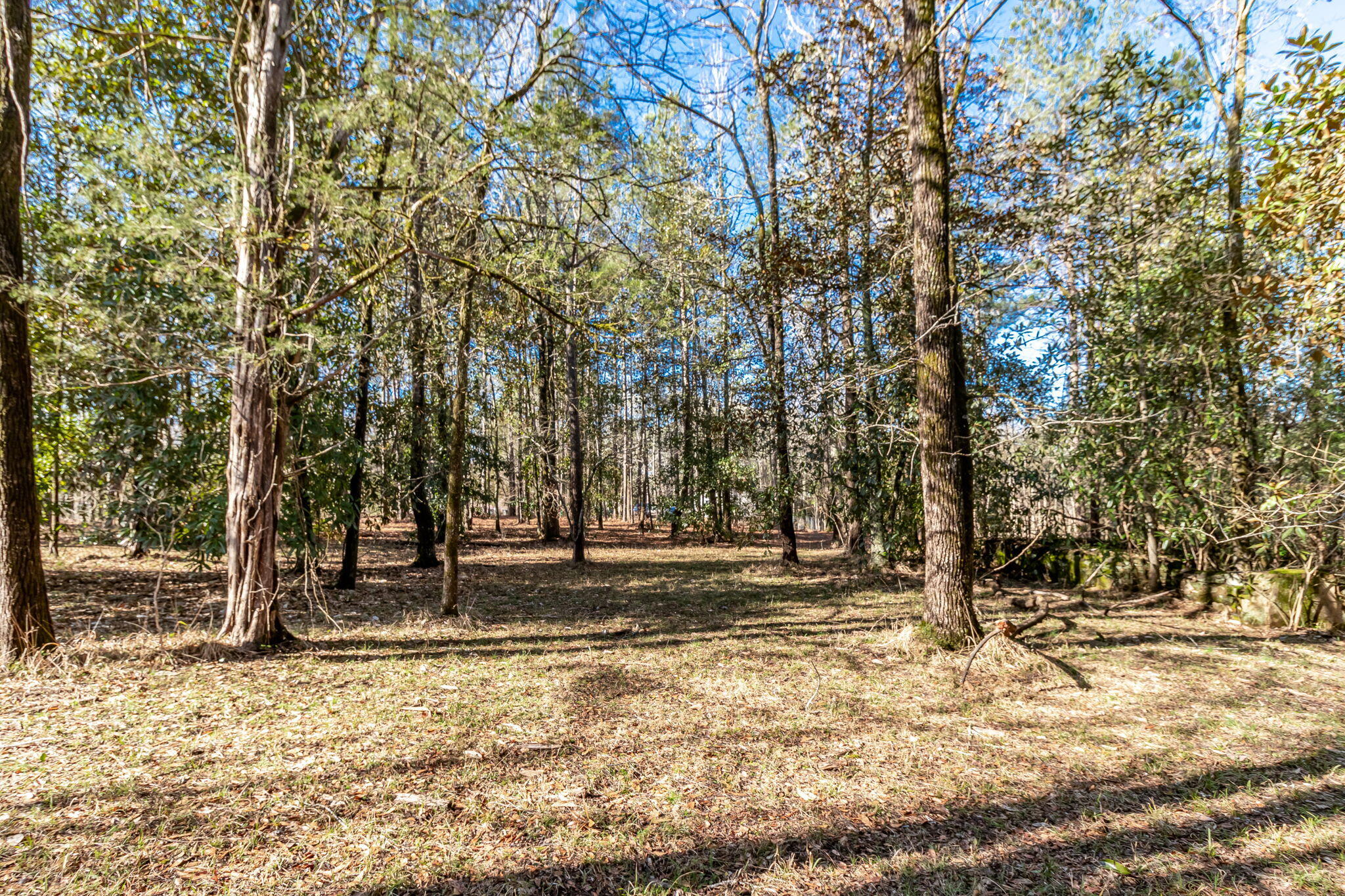 2865 Old Thomson Road Appling, GA 30802 - Photo 41 of 46 47-web-or-mls-2865 OLD THOMSON RD ©-7995