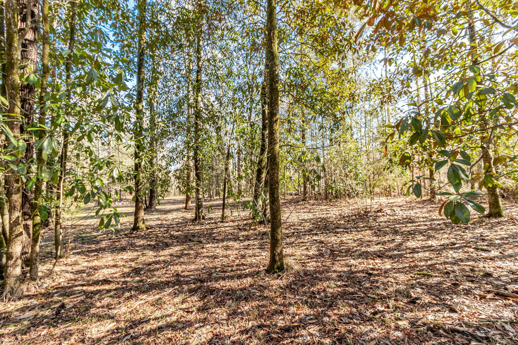 2865 Old Thomson Road Appling, GA 30802 - Photo 42 of 46 48-web-or-mls-2865 OLD THOMSON RD ©-7996