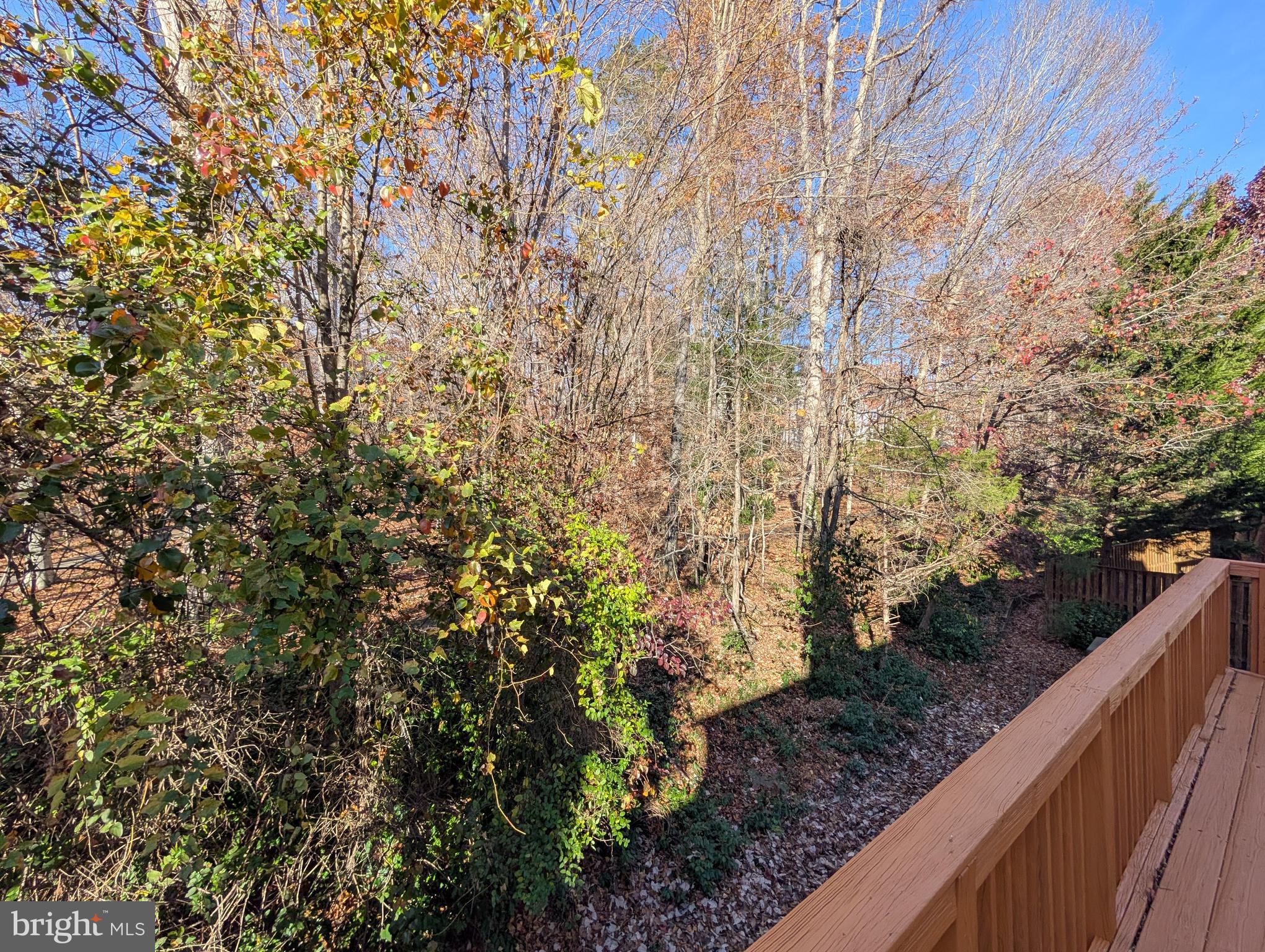 8108 Squirrel Run Road Springfield, VA 22152 - Photo 7 of 16 a view of a garden from a wooden bridge