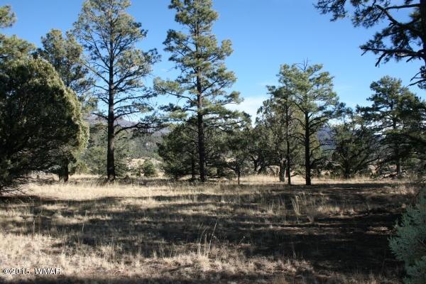 71 Co Road Springerville, AZ 85938 - Photo 11 of 35