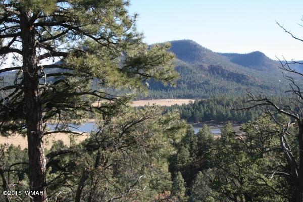71 Co Road Springerville, AZ 85938 - Photo 12 of 35