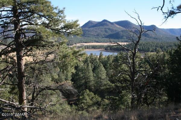 71 Co Road Springerville, AZ 85938 - Photo 13 of 35