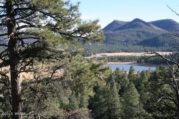 71 Co Road Springerville, AZ 85938 - Photo 14 of 35