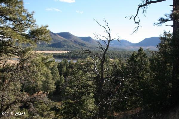 71 Co Road Springerville, AZ 85938 - Photo 15 of 35
