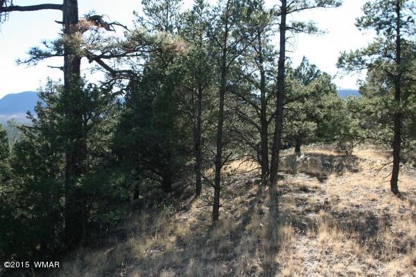 71 Co Road Springerville, AZ 85938 - Photo 16 of 35