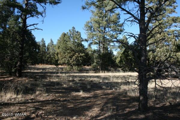 71 Co Road Springerville, AZ 85938 - Photo 18 of 35