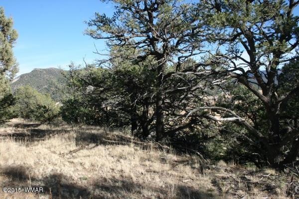 71 Co Road Springerville, AZ 85938 - Photo 19 of 35