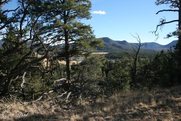 71 Co Road Springerville, AZ 85938 - Photo 20 of 35
