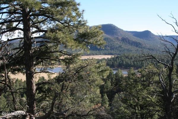 71 Co Road Springerville, AZ 85938 - Photo 21 of 35