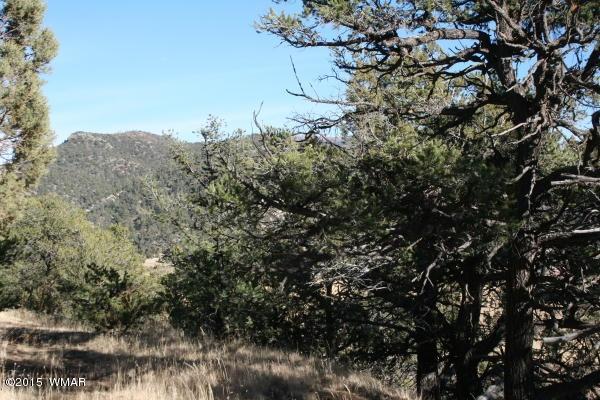71 Co Road Springerville, AZ 85938 - Photo 22 of 35