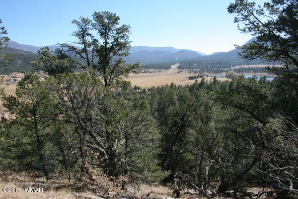 71 Co Road Springerville, AZ 85938 - Photo 23 of 35