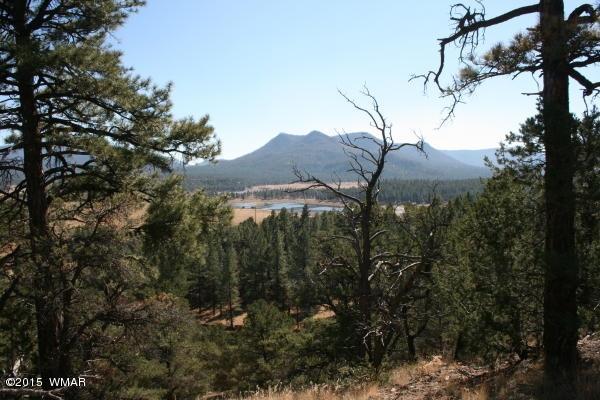 71 Co Road Springerville, AZ 85938 - Photo 24 of 35