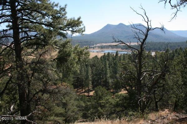 71 Co Road Springerville, AZ 85938 - Photo 25 of 35