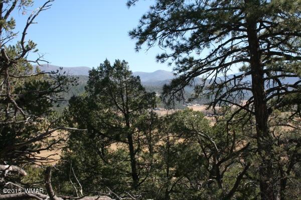 71 Co Road Springerville, AZ 85938 - Photo 26 of 35