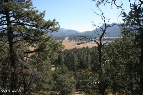 71 Co Road Springerville, AZ 85938 - Photo 27 of 35