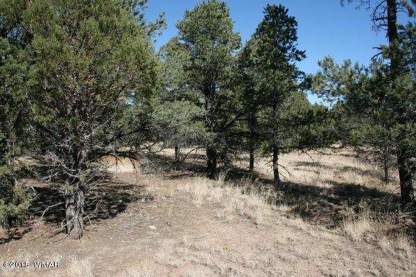 71 Co Road Springerville, AZ 85938 - Photo 28 of 35
