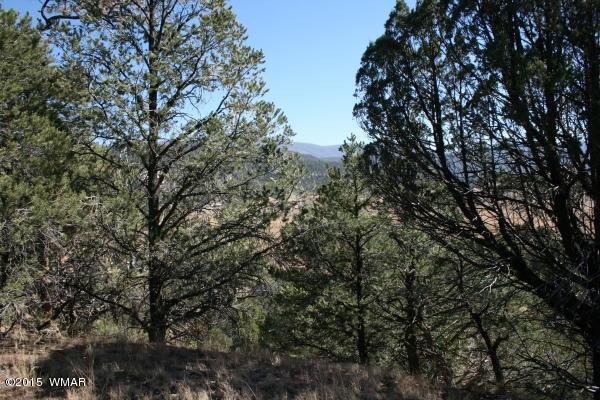 71 Co Road Springerville, AZ 85938 - Photo 29 of 35