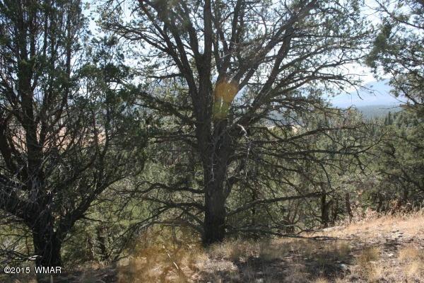 71 Co Road Springerville, AZ 85938 - Photo 30 of 35