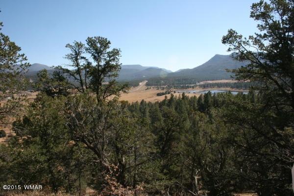 71 Co Road Springerville, AZ 85938 - Photo 3 of 35