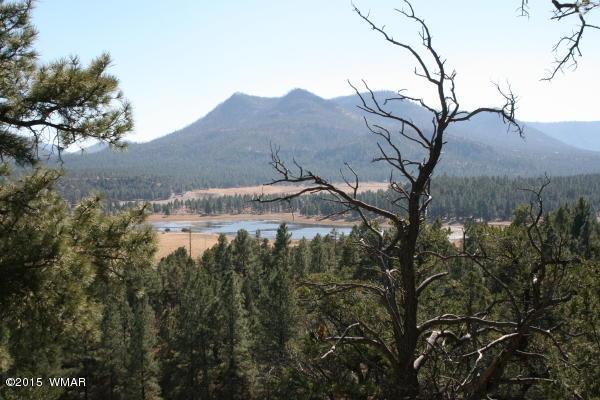 71 Co Road Springerville, AZ 85938 - Photo 31 of 35