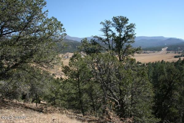 71 Co Road Springerville, AZ 85938 - Photo 32 of 35