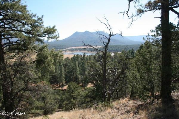 71 Co Road Springerville, AZ 85938 - Photo 33 of 35