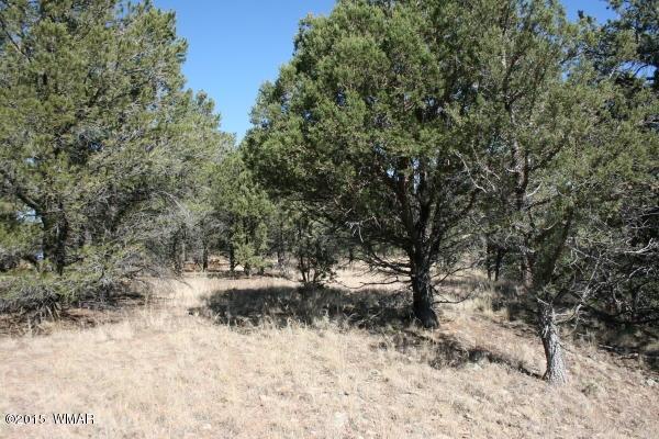 71 Co Road Springerville, AZ 85938 - Photo 34 of 35