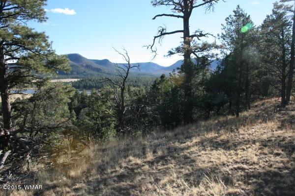 71 Co Road Springerville, AZ 85938 - Photo 4 of 35