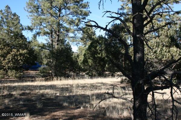 71 Co Road Springerville, AZ 85938 - Photo 5 of 35