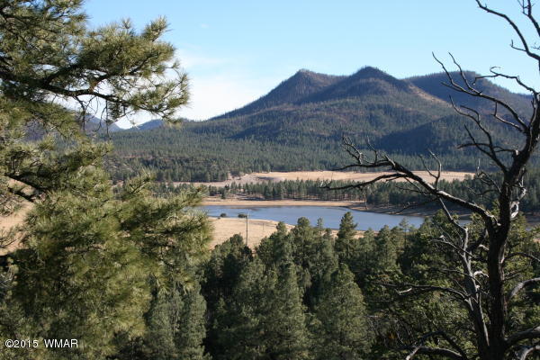 71 Co Road Springerville, AZ 85938 - Photo 6 of 35