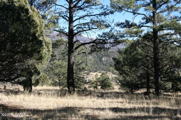 71 Co Road Springerville, AZ 85938 - Photo 7 of 35