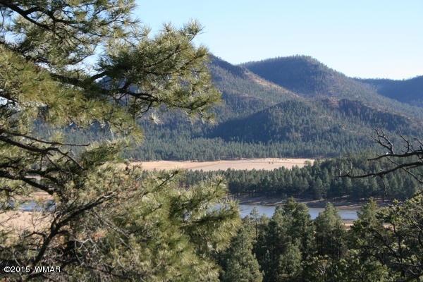 71 Co Road Springerville, AZ 85938 - Photo 9 of 35