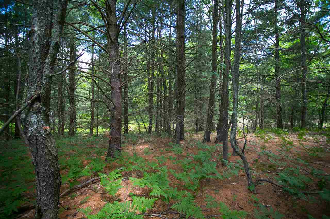 1063 Tranquil Point Road Traverse City, MI 49696 - Photo 2 of 30 1811067-1.JPG