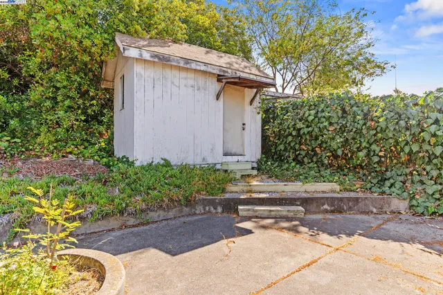 a view of backyard of house