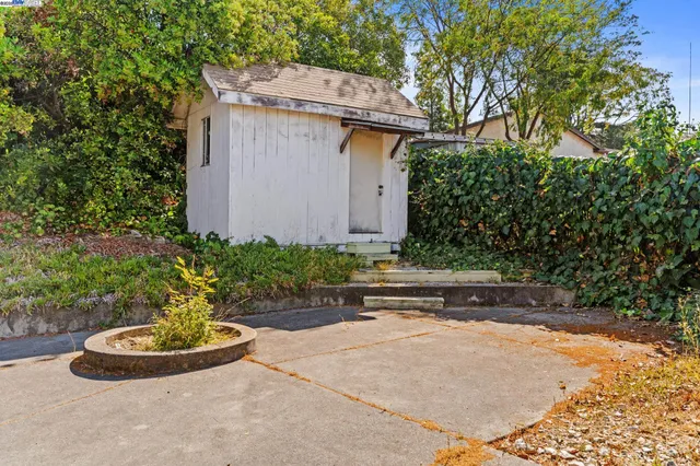a view of a backyard with plants and a fountain