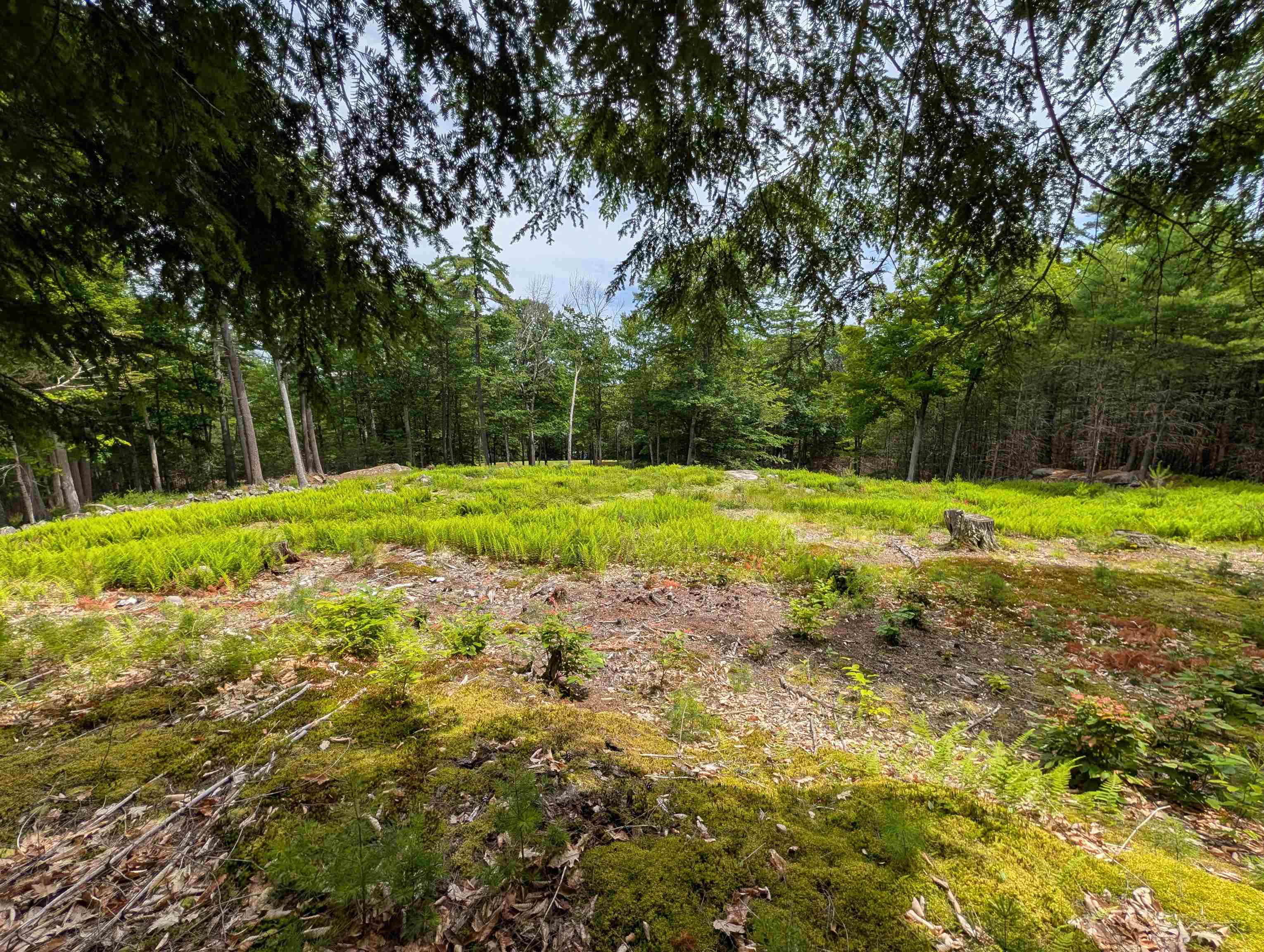 70 High Ridge Road Moultonborough, NH 03254 - Photo 6 of 37