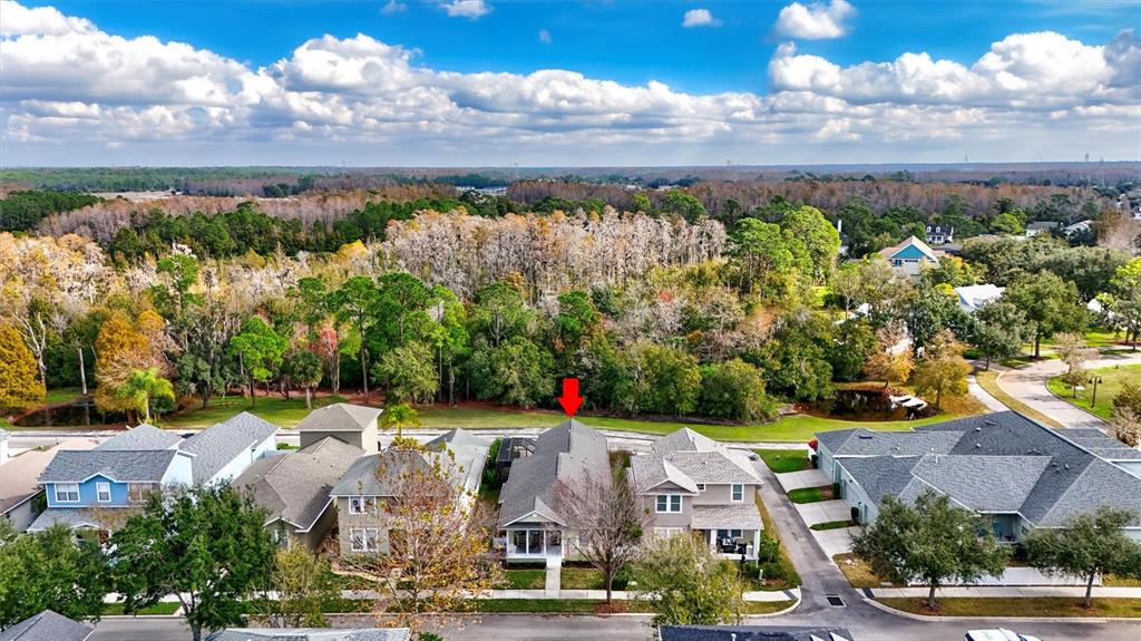 3734 Dogtrot Street New Port Richey, FL 34655 - Photo 2 of 55