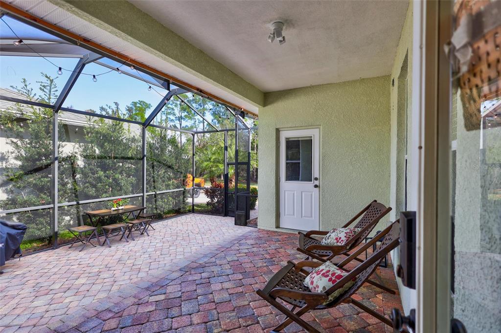 3734 Dogtrot Street New Port Richey, FL 34655 - Photo 35 of 55