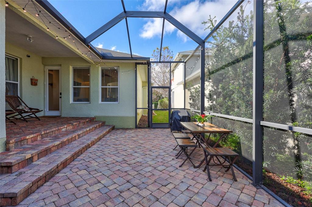 3734 Dogtrot Street New Port Richey, FL 34655 - Photo 37 of 55