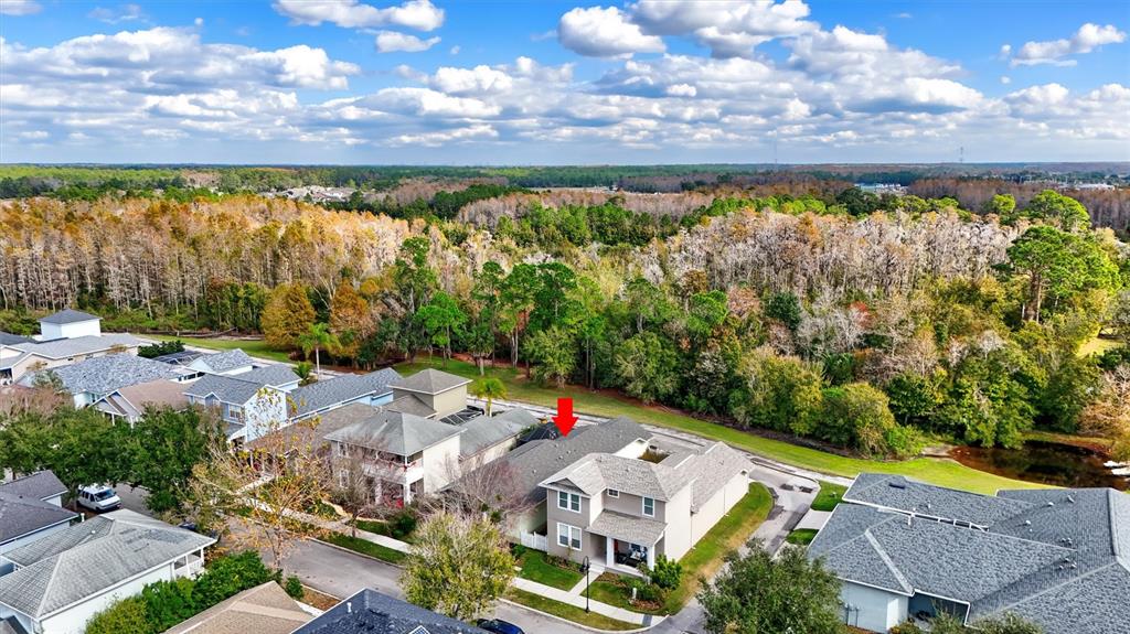 3734 Dogtrot Street New Port Richey, FL 34655 - Photo 54 of 55