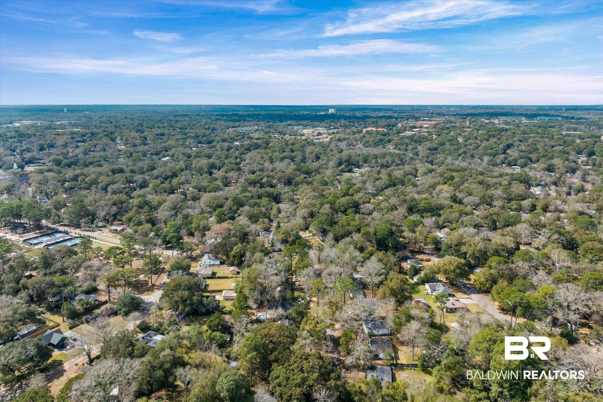 5117 Norton Lane Mobile, AL 36608 - Photo 34 of 35 Bird's eye view of a forest