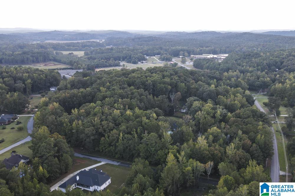 80 Forest Ridge Drive, Unit 22 Jacksonville, AL 36265 - Photo 6 of 9