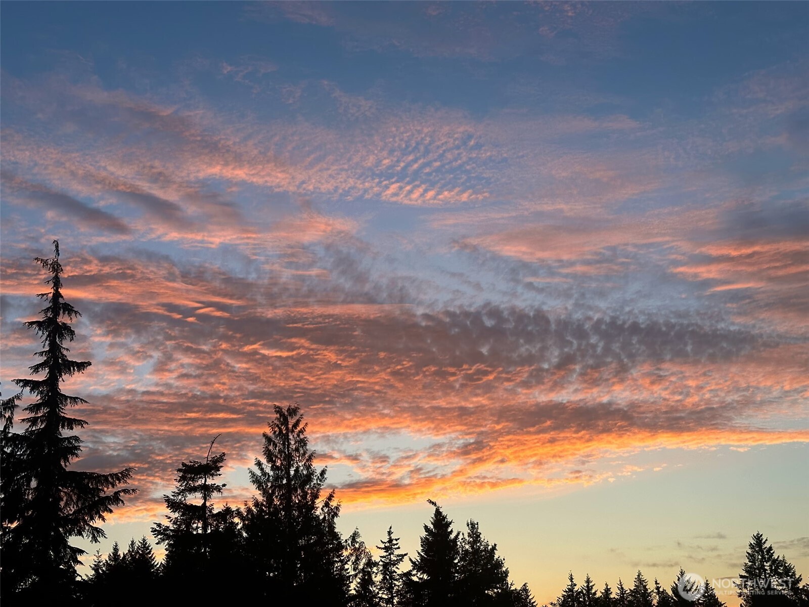 15514 Northwest Hite Center Road Seabeck, WA 98380 - Photo 38 of 40 Gallery Image 38