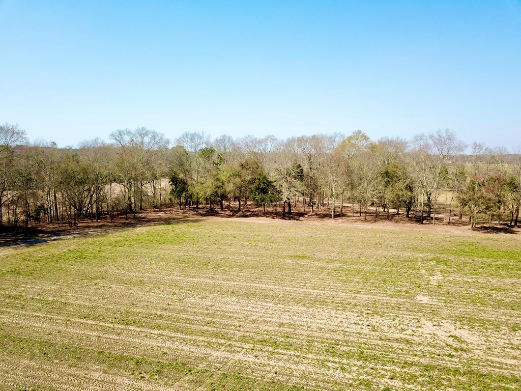 4.9-acres Grady Garner Road Slocomb, AL 36375 - Photo 56 of 70