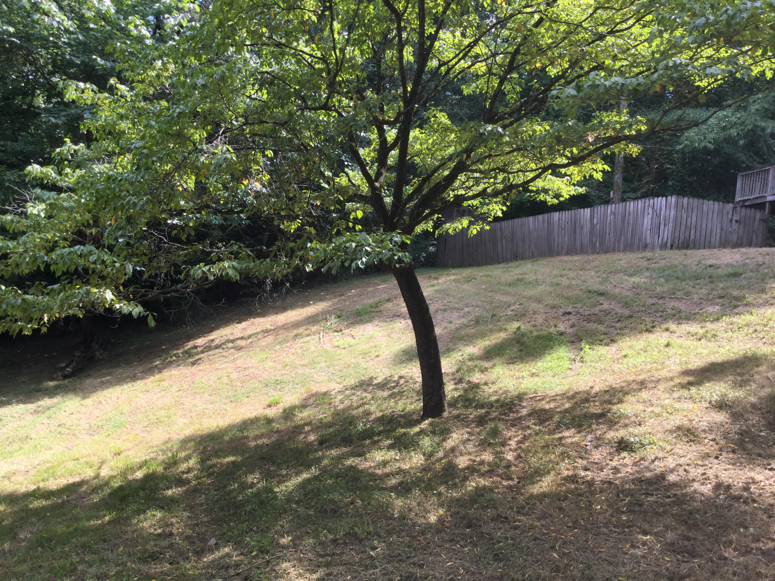 87 Belree Road Wildwood, GA 30757 - Photo 2 of 22 IMG_0852