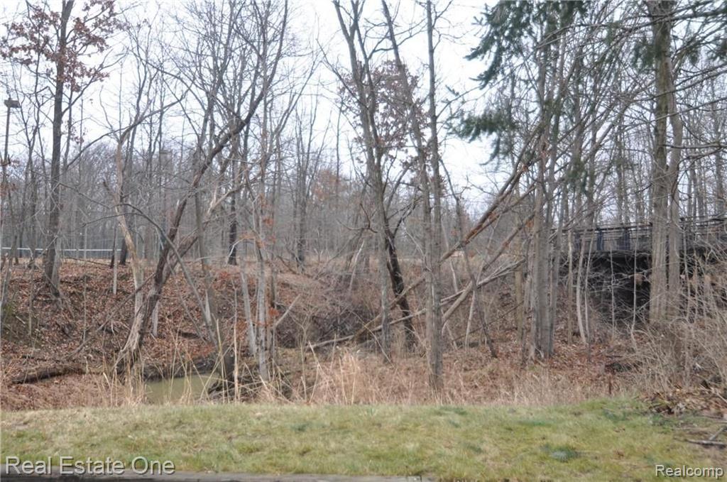 1638 River View Drive, Unit 41 Rochester Hills, MI 48307 - Photo 29 of 31