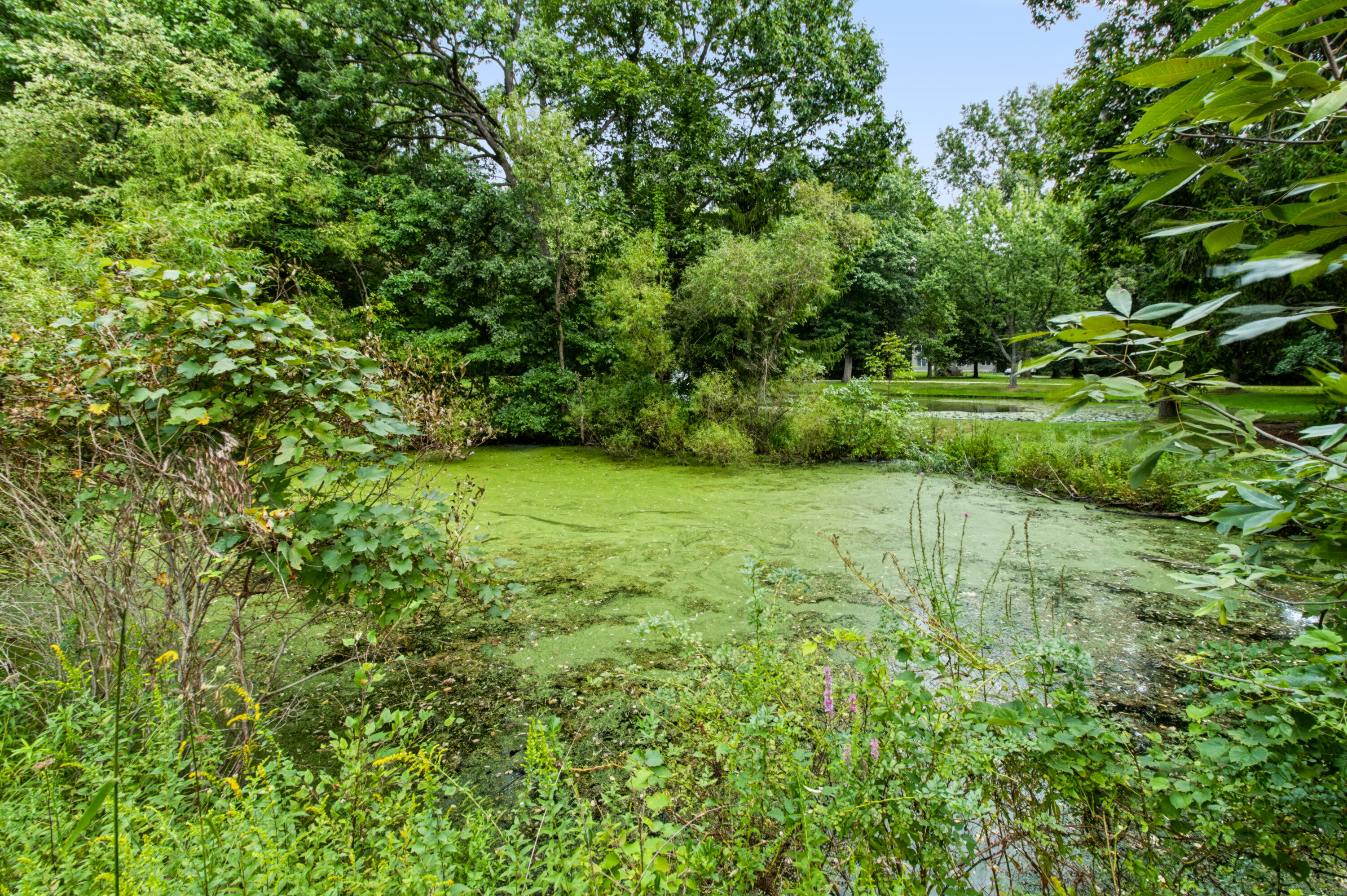 13309 Wilson Road New Buffalo, MI 49117 - Photo 48 of 57 IMG_0233-HDR