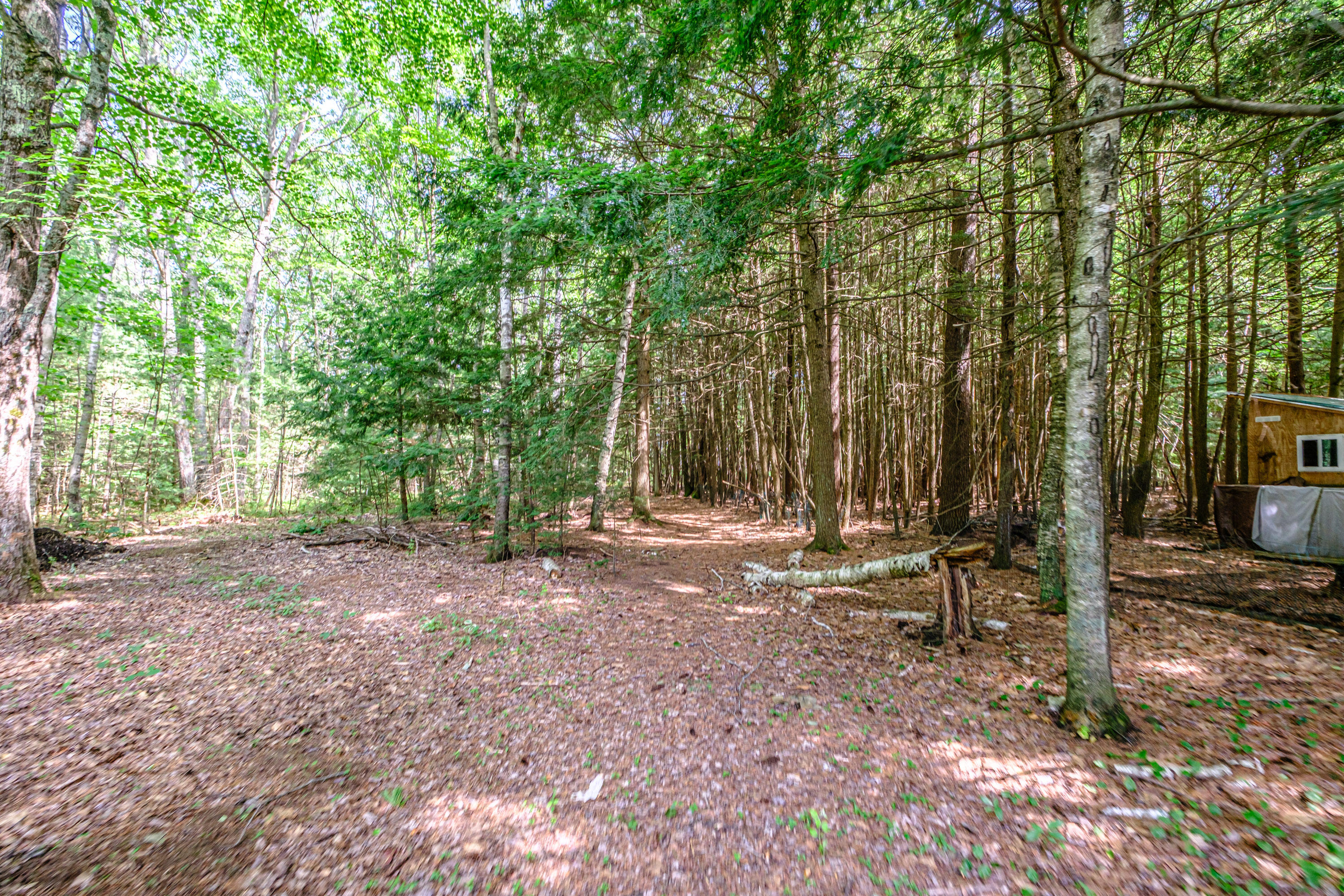 262 Holmes Road Scarborough, ME 04074 - Photo 49 of 61 20260701gp-62074