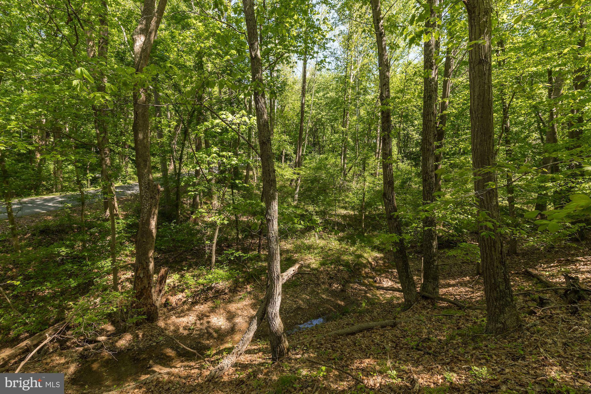 Lot 8 Knoll Road Mount Airy, MD 21771 - Photo 5 of 14